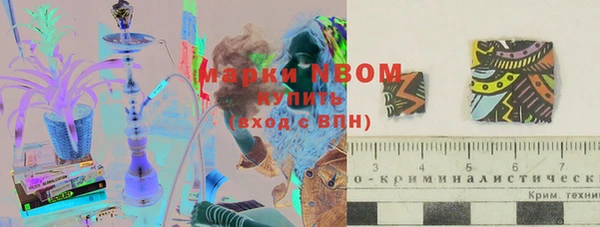 индика Алзамай