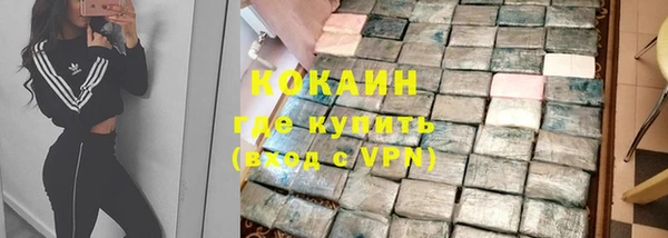 индика Алзамай