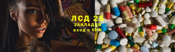 индика Алзамай