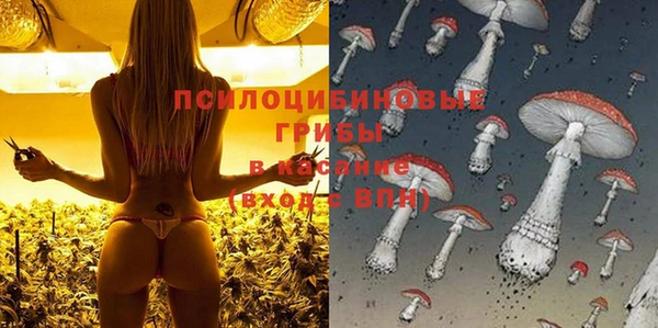 каннабис Алексеевка