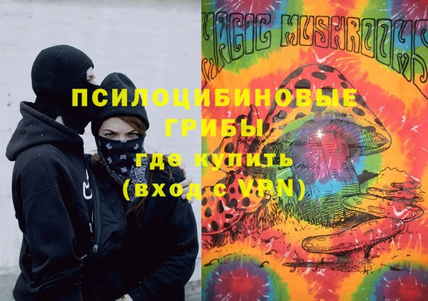 МДПВ Алексин