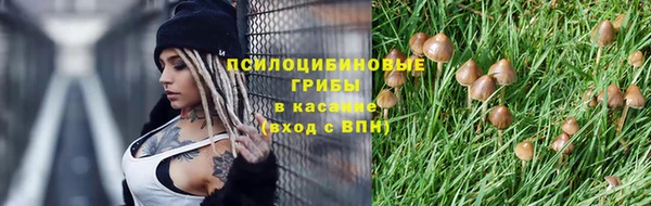 МДПВ Алексин
