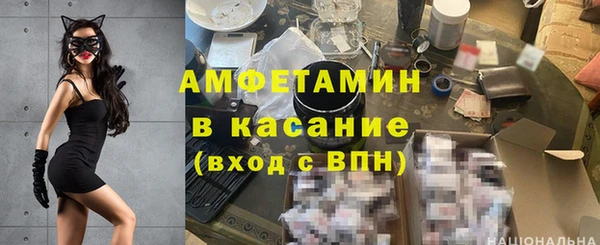 индика Дмитров