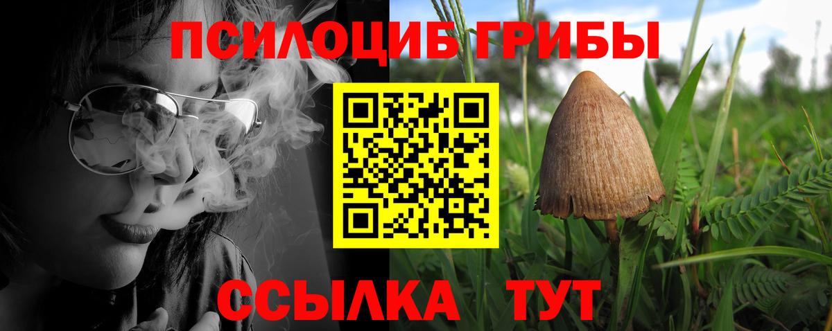 Пенза  продажа наркотиков  Псилоцибиновые грибы Psilocybine cubensis  Вход с VPN  Псилоцибиновые грибы мицелий 