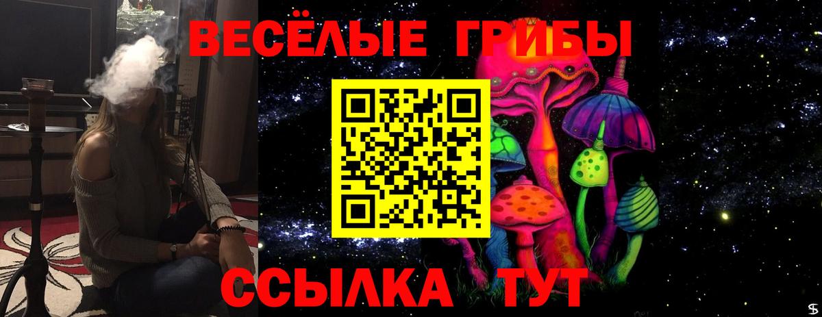Галлюциногенные грибы Psilocybe Пенза